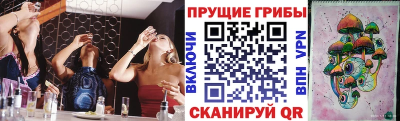 Купить  Чудово  Галлюциногенные грибы MAGIC MUSHROOMS 